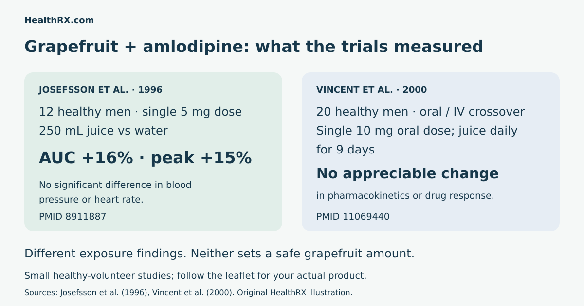 Two small amlodipine and grapefruit studies with different exposure findings, doses and study designs.