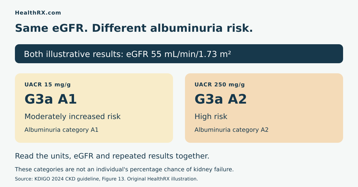Two illustrative eGFR 55 results with different UACR values and correctly classified KDIGO risk groups.