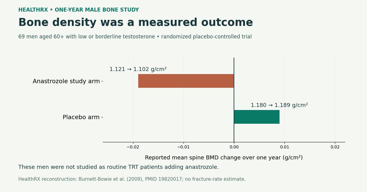 Reported one-year mean spine bone density changes in randomized older men with low or borderline testosterone, separate from routine adjunct-to-TRT use.