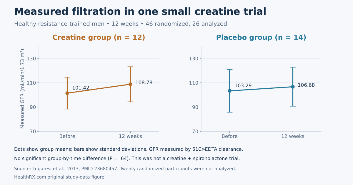Lugaresi's twelve-week trial randomized 46 healthy resistance-trained men and analyzed 26. Measured 51Cr-EDTA filtration showed no significant group-by-time difference. The trial did not test creatine with spironolactone.