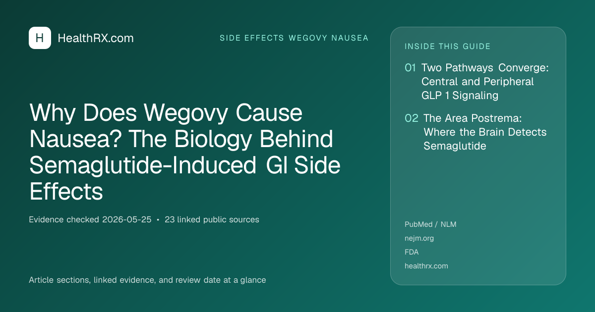 Evidence overview for Why Does Wegovy Cause Nausea? The Biology Behind Semaglutide-Induced GI Side Effects