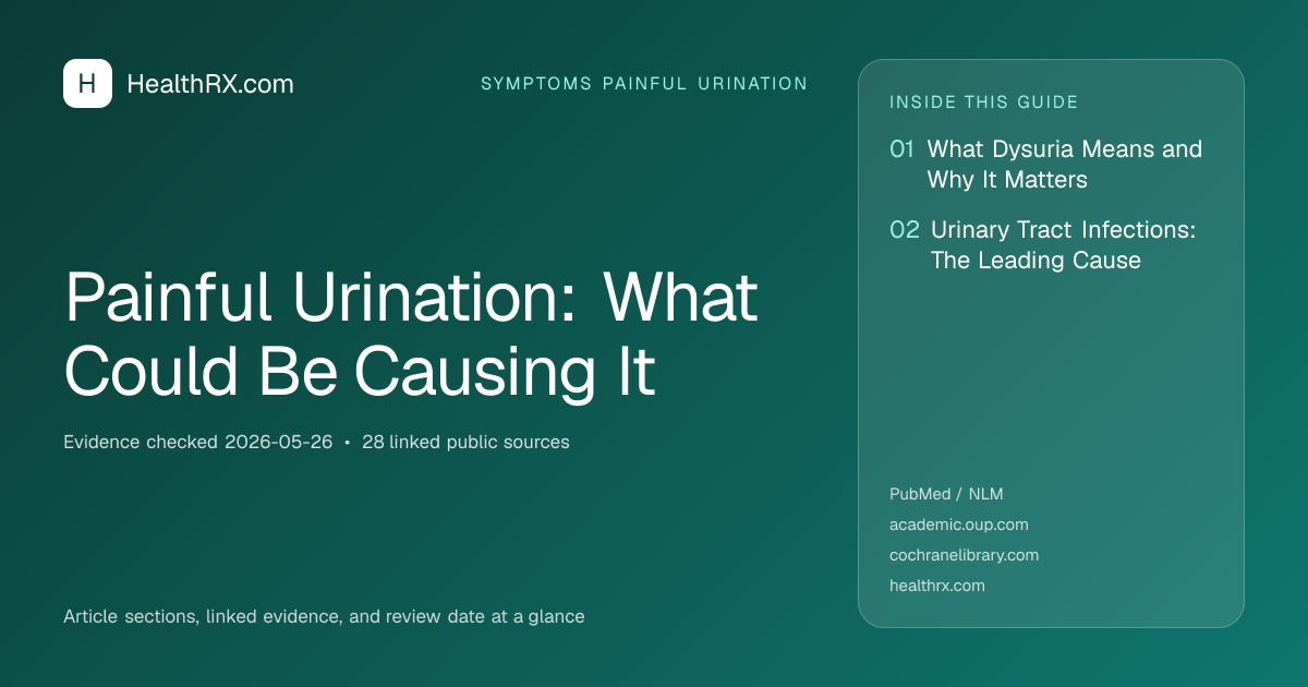 Evidence overview for symptoms painful urination: Painful Urination: What Could Be Causing It