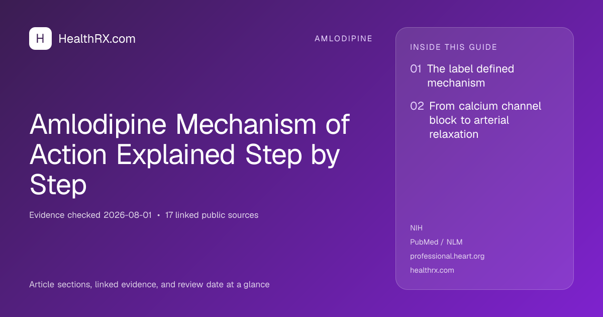 Evidence overview for amlodipine: Amlodipine Mechanism of Action Explained Step by Step