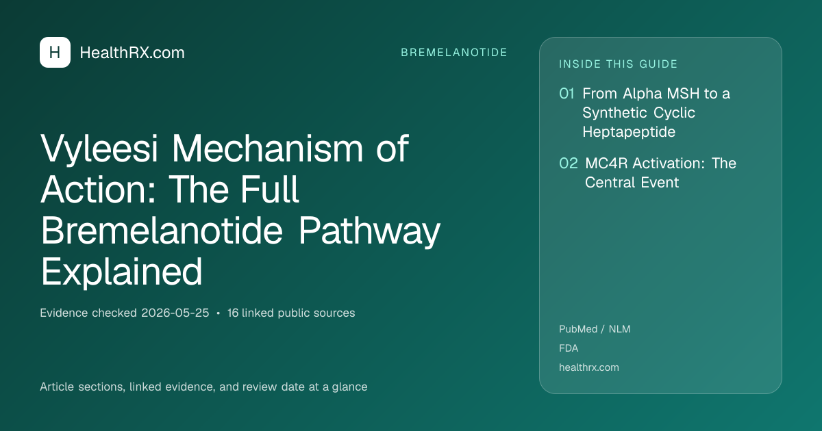 Evidence overview for bremelanotide: Vyleesi Mechanism of Action: The Full Bremelanotide Pathway Explained