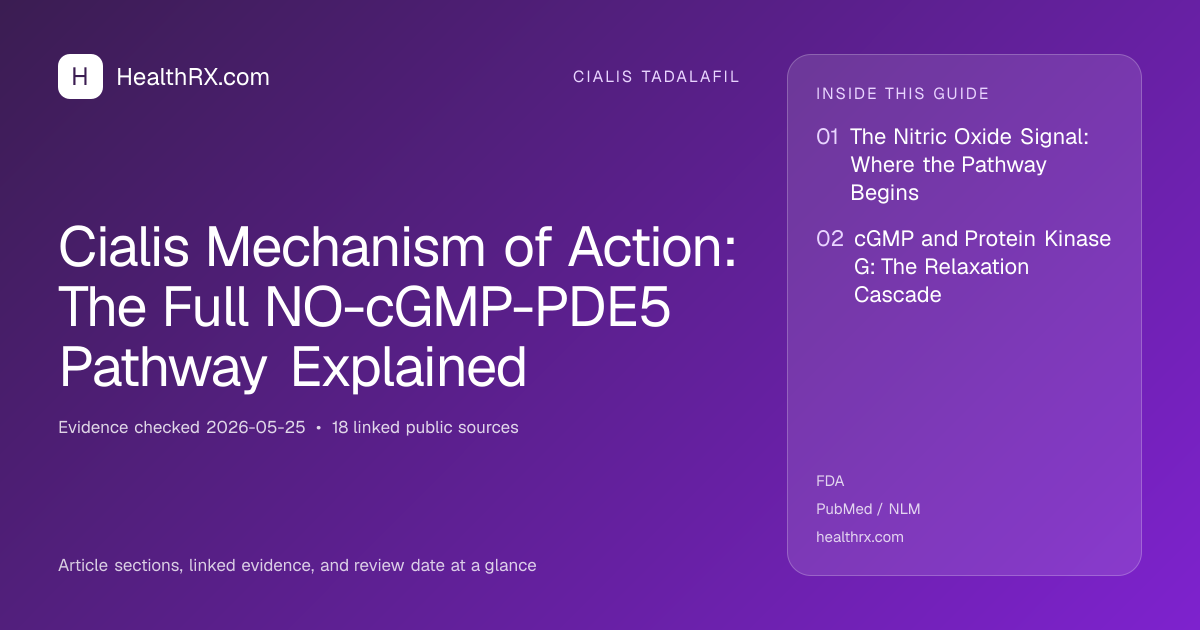 Evidence overview for cialis tadalafil: Cialis Mechanism of Action: The Full NO-cGMP-PDE5 Pathway Explained
