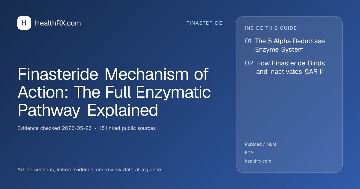 Evidence overview for Finasteride Mechanism of Action: The Full Enzymatic Pathway Explained