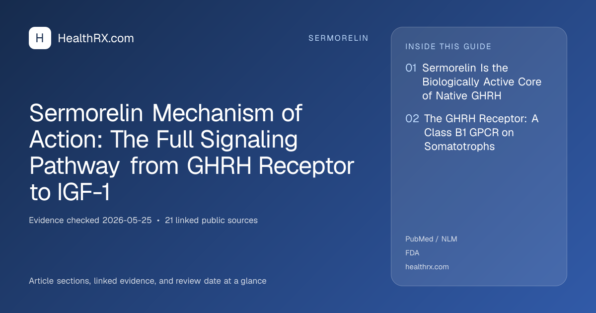 Evidence overview for Sermorelin Mechanism of Action: The Full Signaling Pathway from GHRH Receptor to IGF-1