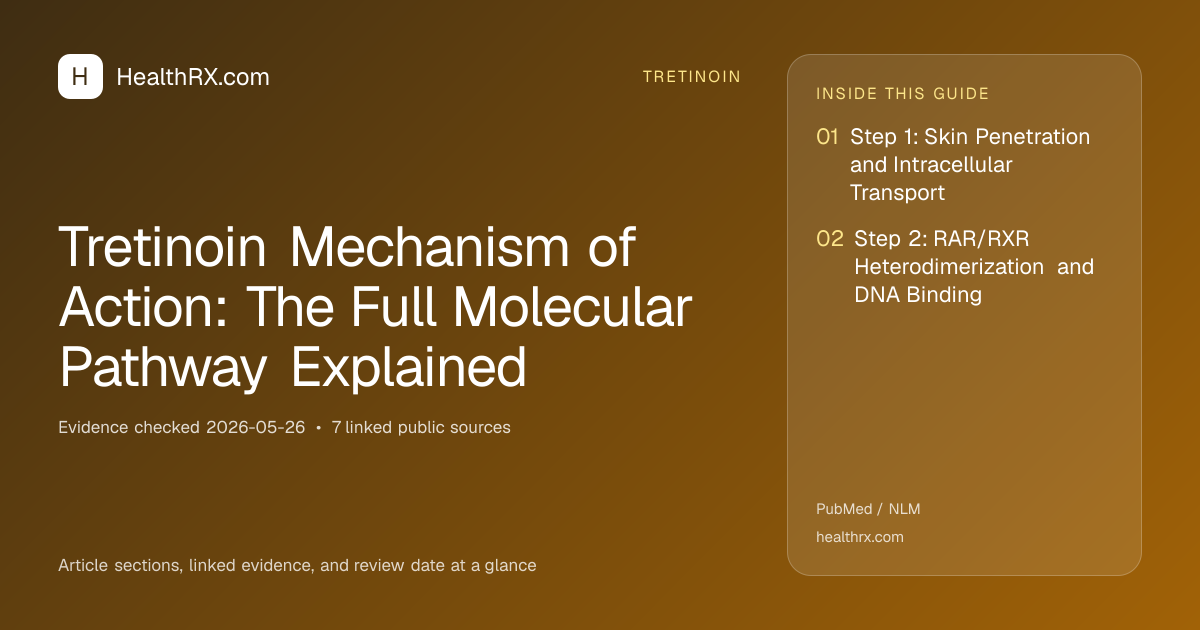 Evidence overview for tretinoin: Tretinoin Mechanism of Action: The Full Molecular Pathway Explained