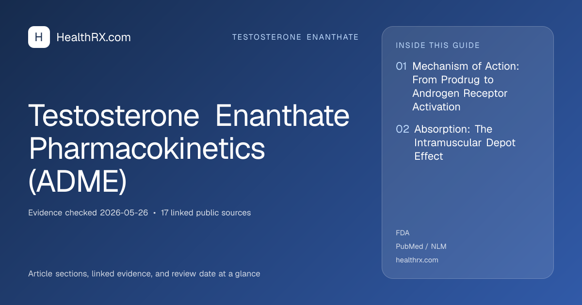 Evidence overview for Testosterone Enanthate Pharmacokinetics (ADME)