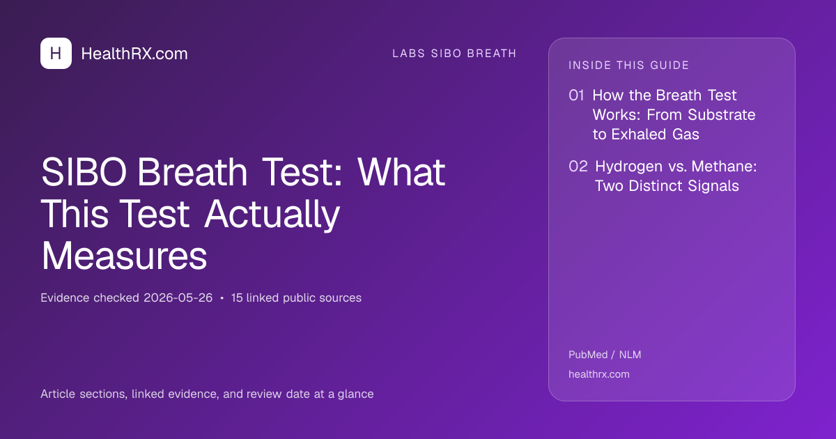Evidence overview for SIBO Breath Test: What This Test Actually Measures