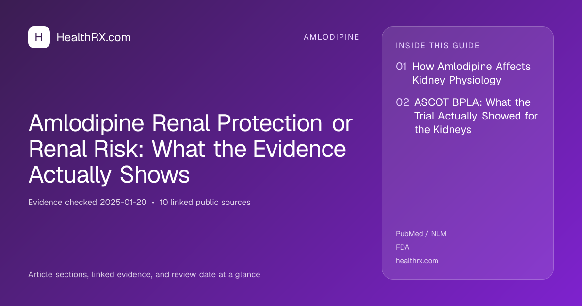 Evidence overview for Amlodipine Renal Protection or Renal Risk: What the Evidence Actually Shows