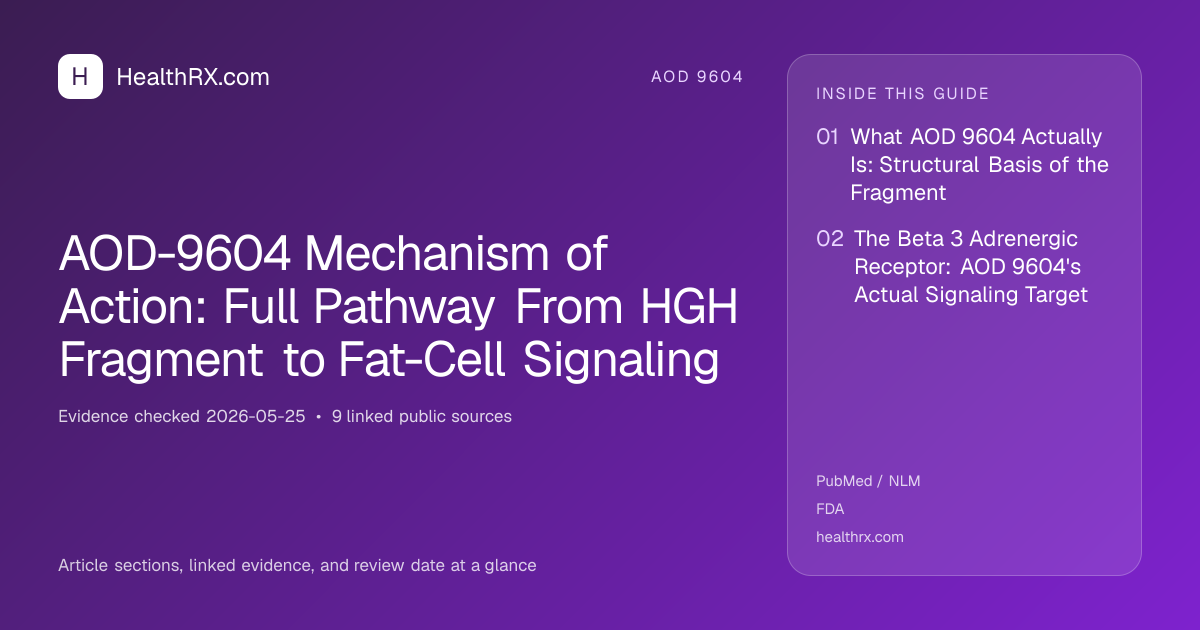 Evidence overview for AOD-9604 Mechanism of Action: Full Pathway From HGH Fragment to Fat-Cell Signaling