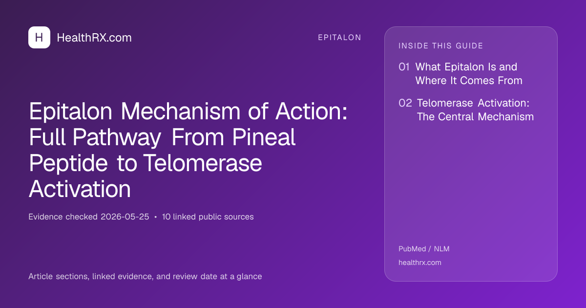 Evidence overview for Epitalon Mechanism of Action: Full Pathway From Pineal Peptide to Telomerase Activation