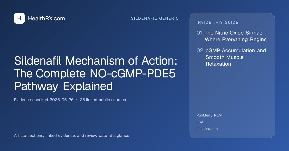 Evidence overview for sildenafil generic: Sildenafil Mechanism of Action: The Complete NO-cGMP-PDE5 Pathway Explained