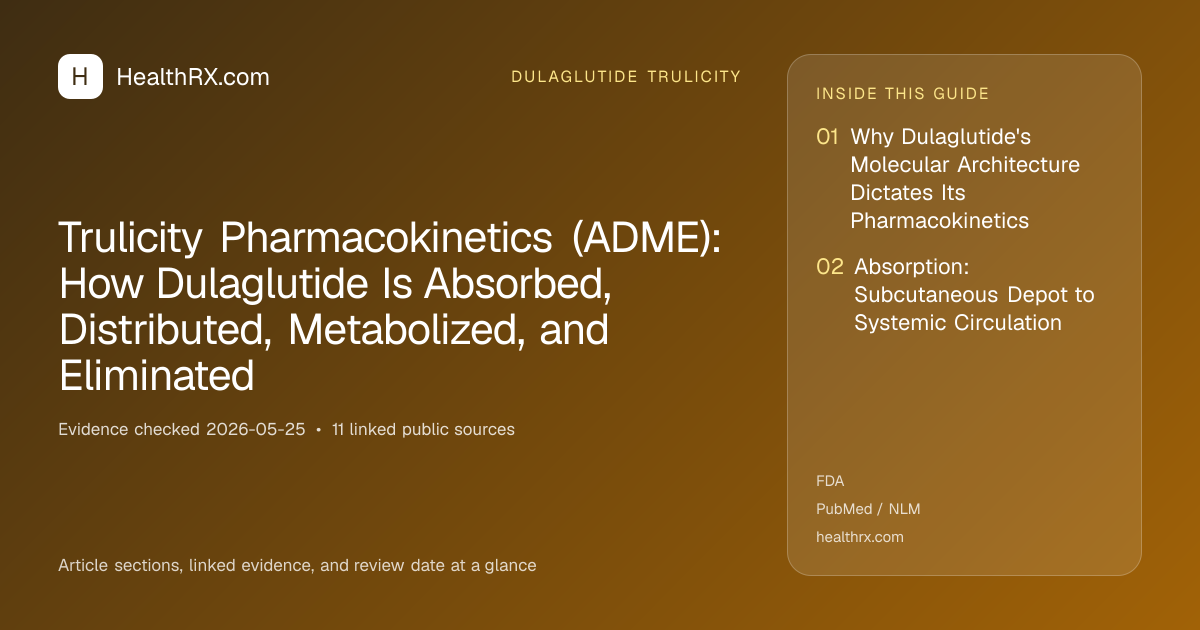 Evidence overview for Trulicity Pharmacokinetics (ADME): How Dulaglutide Is Absorbed, Distributed, Metabolized, and Eliminated