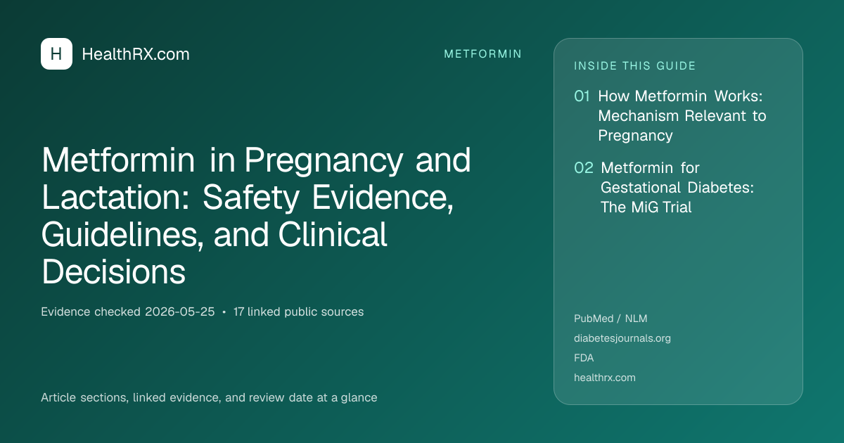 Evidence overview for Metformin in Pregnancy and Lactation: Safety Evidence, Guidelines, and Clinical Decisions