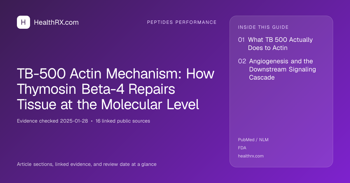 Evidence overview for TB-500 Actin Mechanism: How Thymosin Beta-4 Repairs Tissue at the Molecular Level
