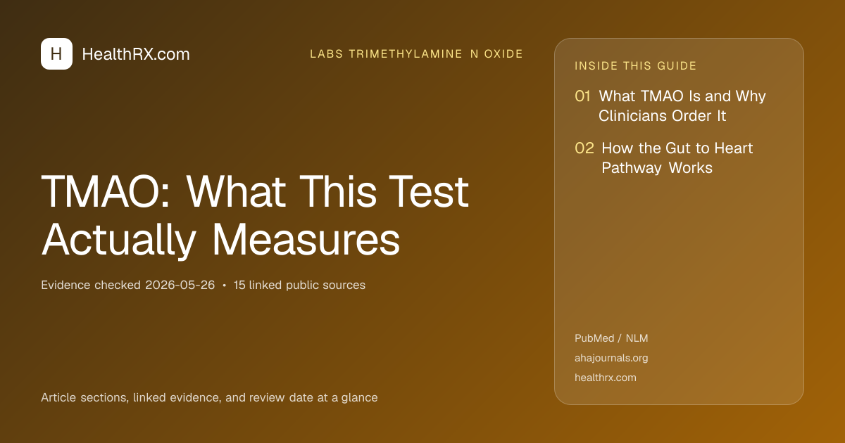 Evidence overview for TMAO: What This Test Actually Measures