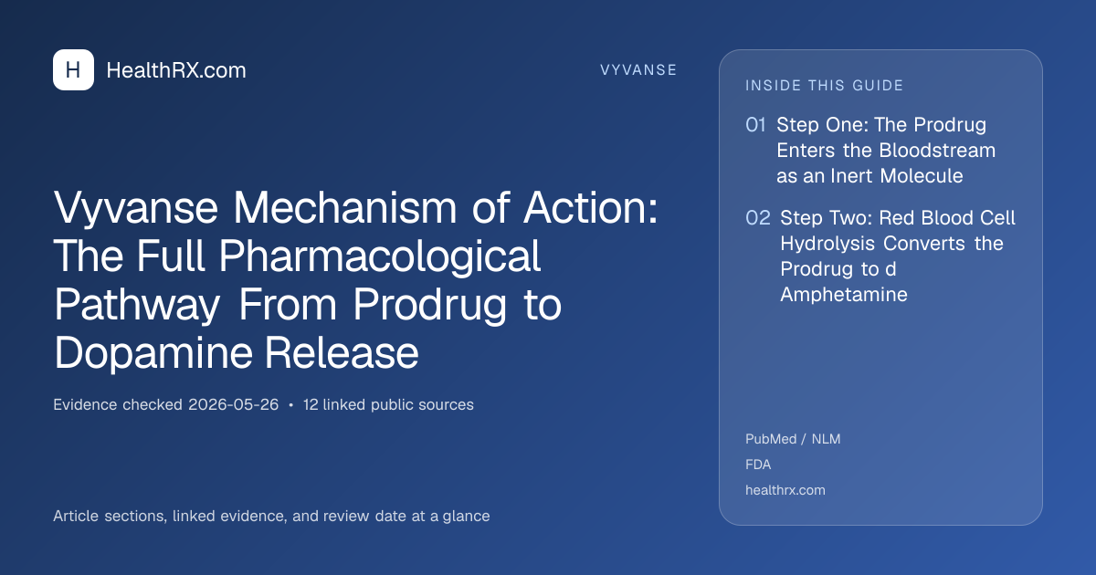 Evidence overview for vyvanse: Vyvanse Mechanism of Action: The Full Pharmacological Pathway From Prodrug to Dopamine Release