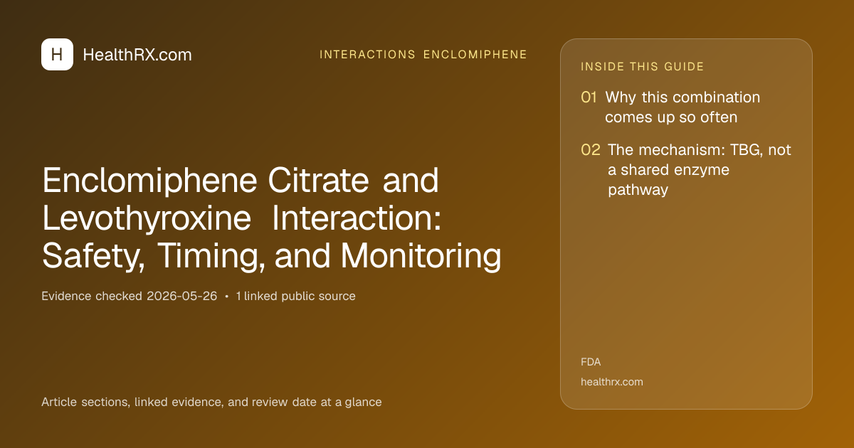 Evidence overview for Enclomiphene Citrate and Levothyroxine Interaction: Safety, Timing, and Monitoring