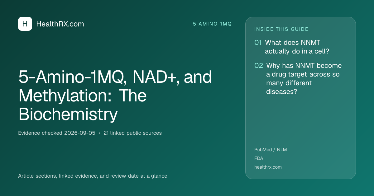 Evidence overview for 5-Amino-1MQ, NAD+, and Methylation: The Biochemistry