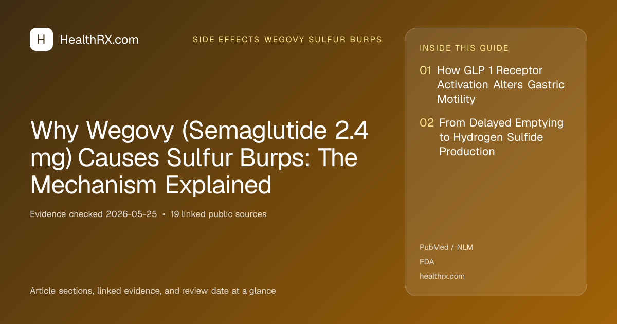 Evidence overview for Why Wegovy (Semaglutide 2.4 mg) Causes Sulfur Burps: The Mechanism Explained