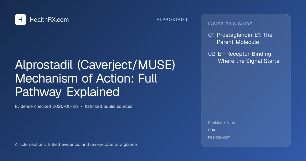 Evidence overview for alprostadil: Alprostadil (Caverject/MUSE) Mechanism of Action: Full Pathway Explained