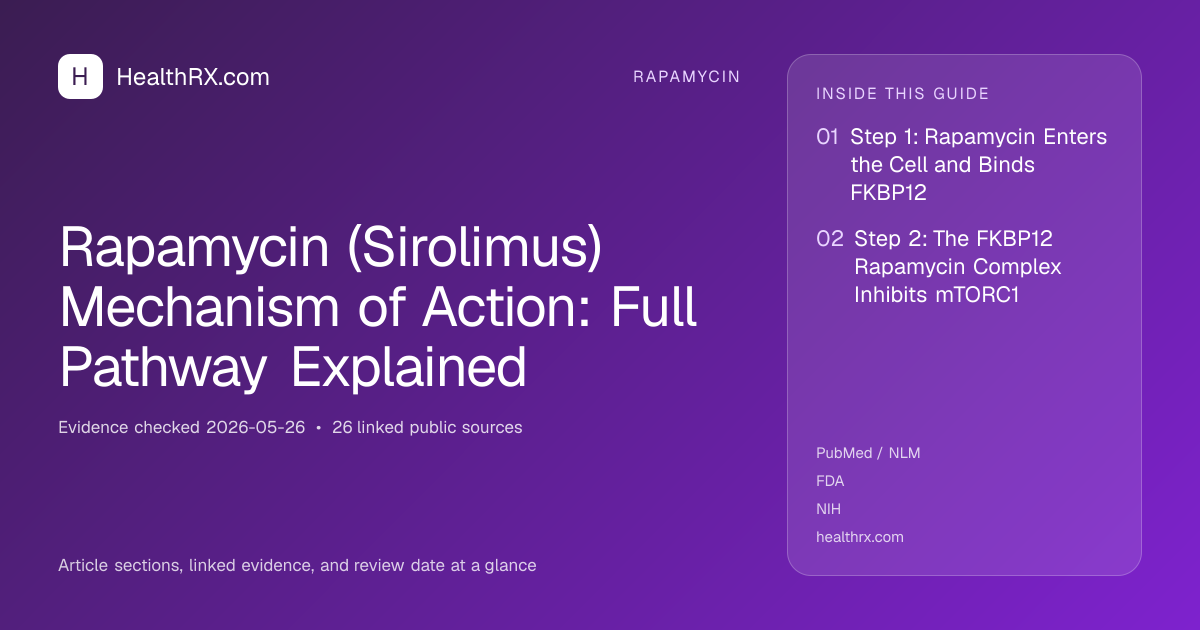 Evidence overview for rapamycin: Rapamycin (Sirolimus) Mechanism of Action: Full Pathway Explained