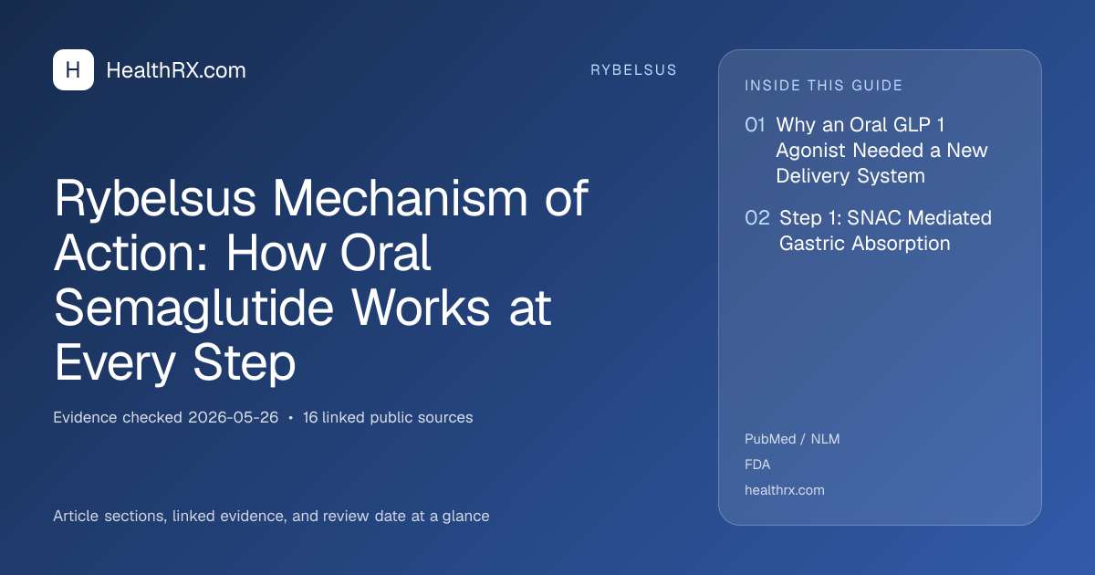 Evidence overview for Rybelsus Mechanism of Action: How Oral Semaglutide Works at Every Step