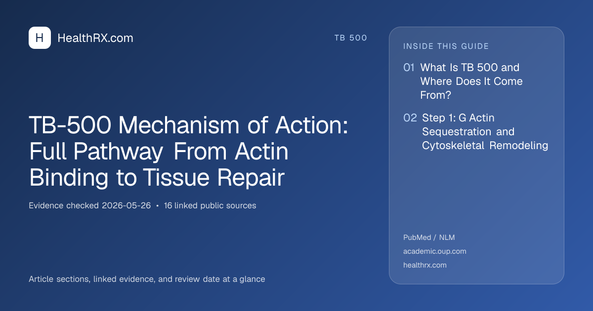 Evidence overview for TB-500 Mechanism of Action: Full Pathway From Actin Binding to Tissue Repair