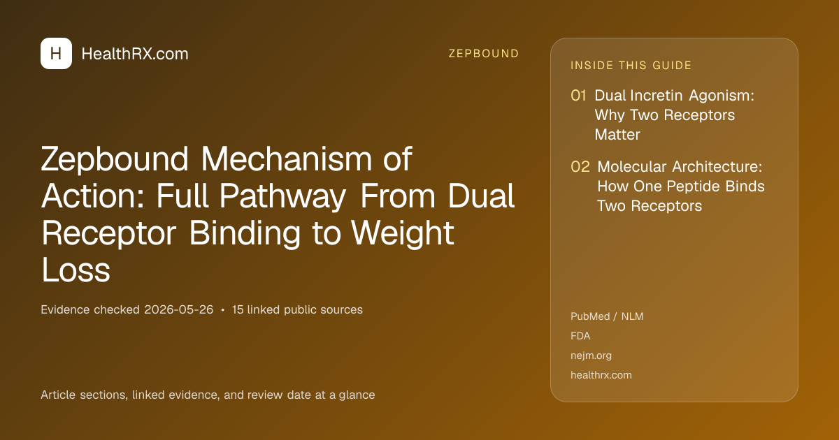 Evidence overview for Zepbound Mechanism of Action: Full Pathway From Dual Receptor Binding to Weight Loss