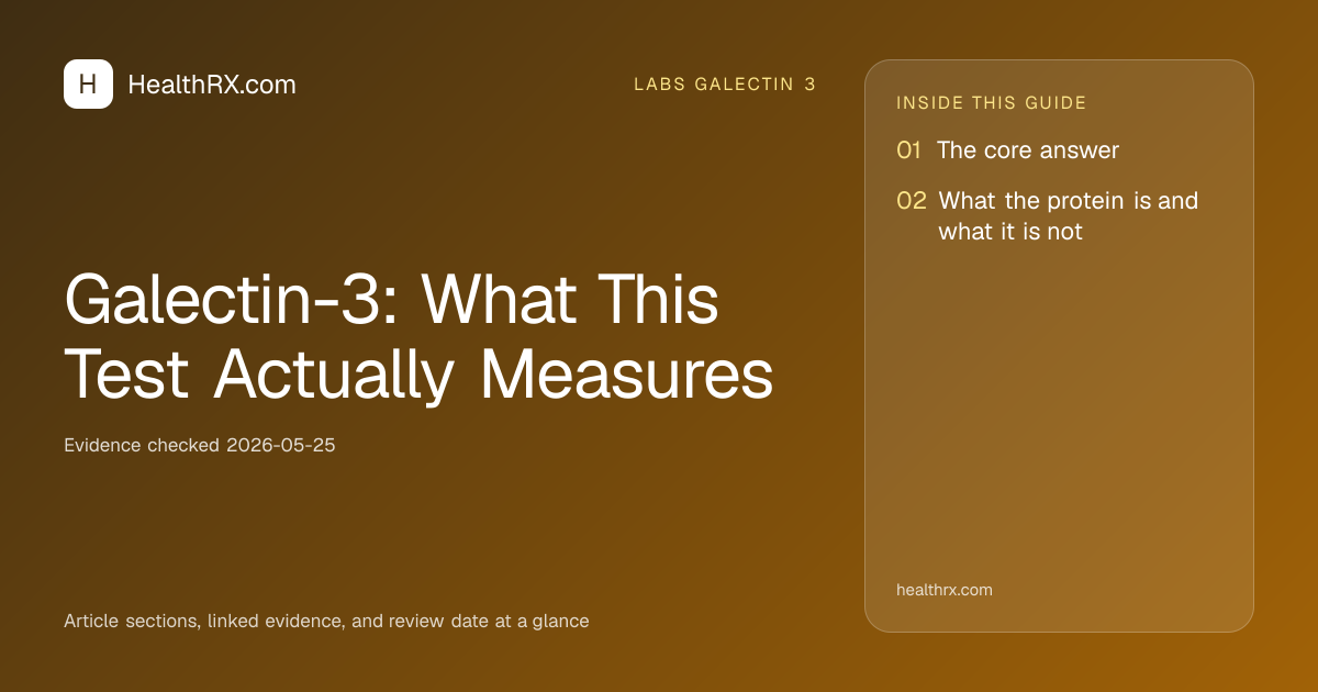 Evidence overview for Galectin-3: What This Test Actually Measures