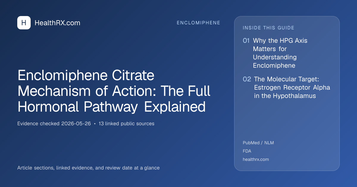 Evidence overview for Enclomiphene Citrate Mechanism of Action: The Full Hormonal Pathway Explained
