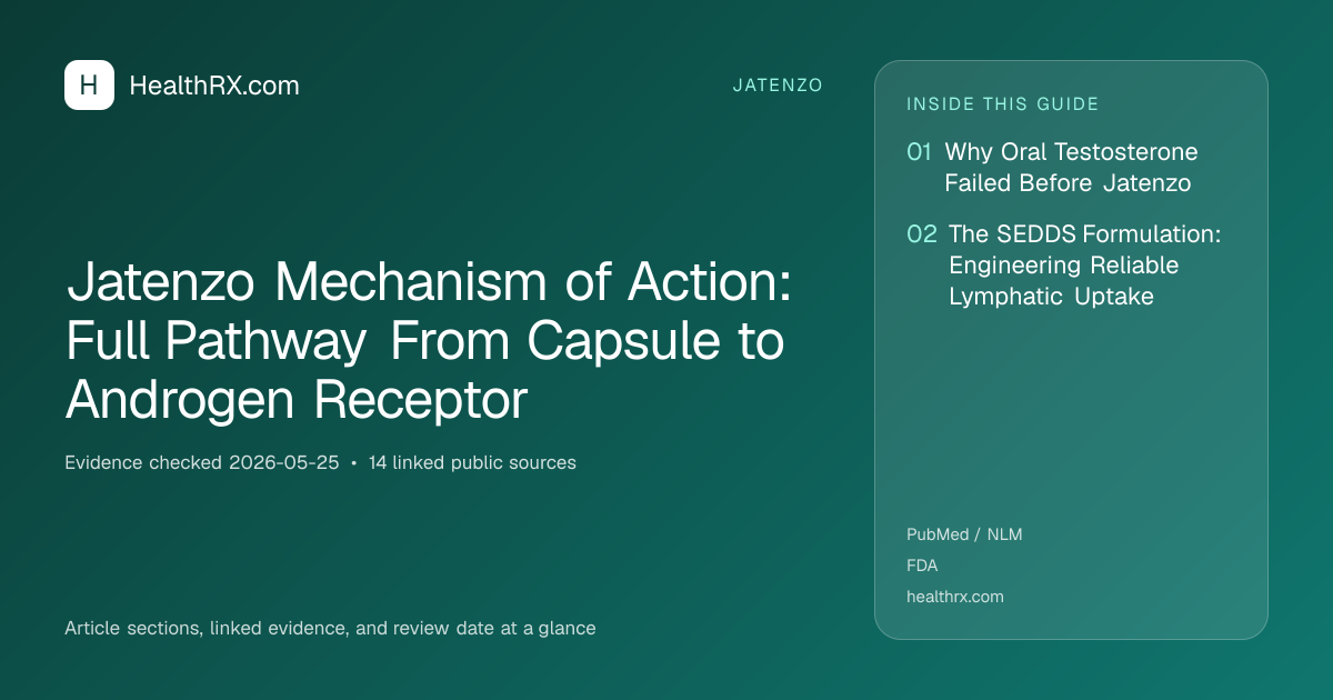 Evidence overview for Jatenzo Mechanism of Action: Full Pathway From Capsule to Androgen Receptor
