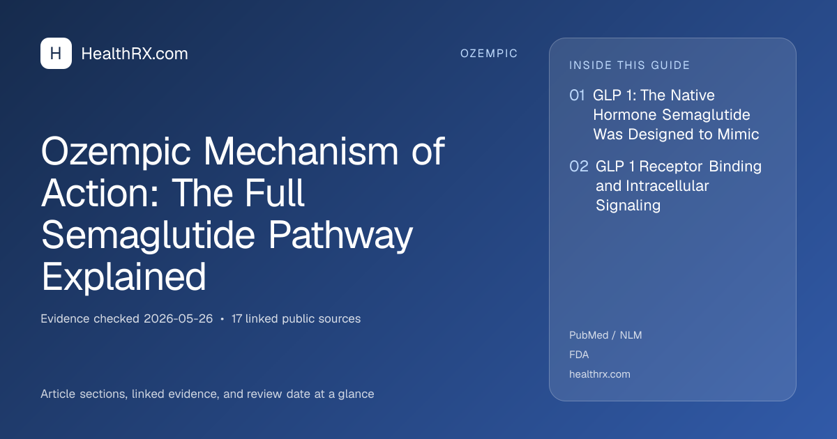 Evidence overview for Ozempic Mechanism of Action: The Full Semaglutide Pathway Explained