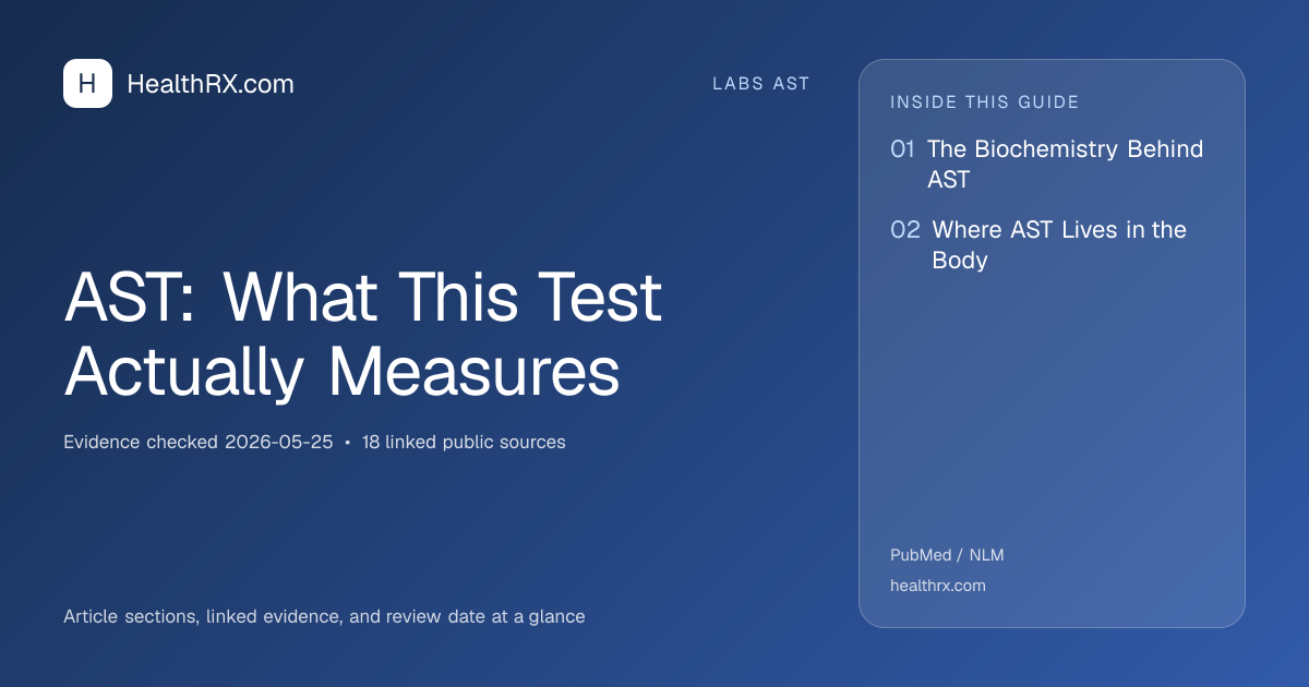 Evidence overview for AST: What This Test Actually Measures
