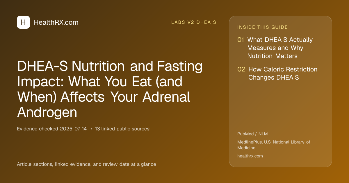 Evidence overview for DHEA-S Nutrition and Fasting Impact: What You Eat (and When) Affects Your Adrenal Androgen