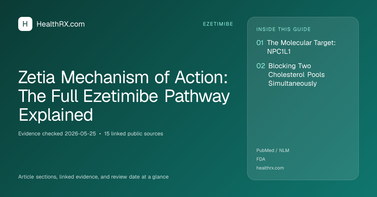 Evidence overview for Zetia Mechanism of Action: The Full Ezetimibe Pathway Explained
