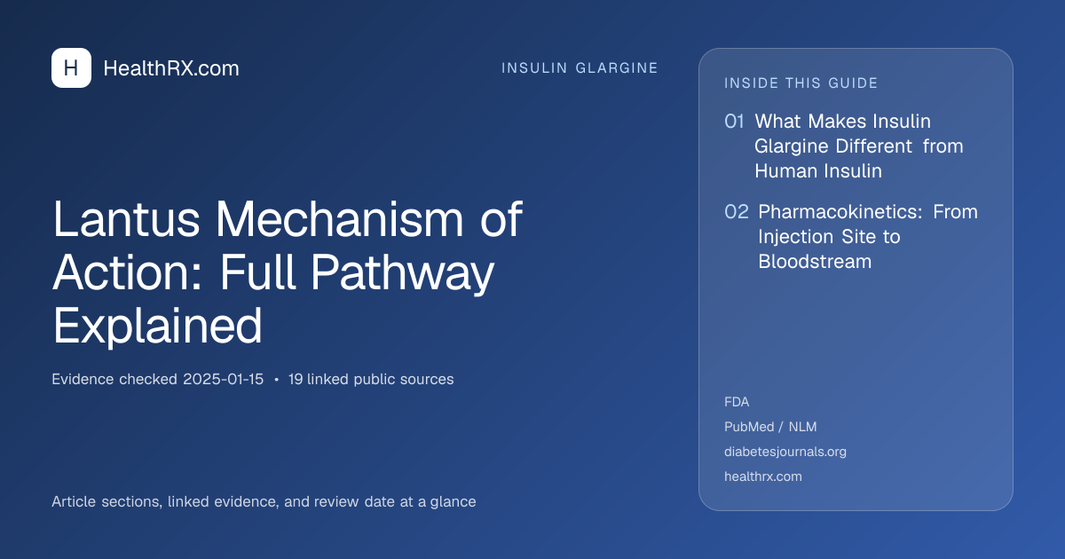 Evidence overview for insulin glargine: Lantus Mechanism of Action: Full Pathway Explained