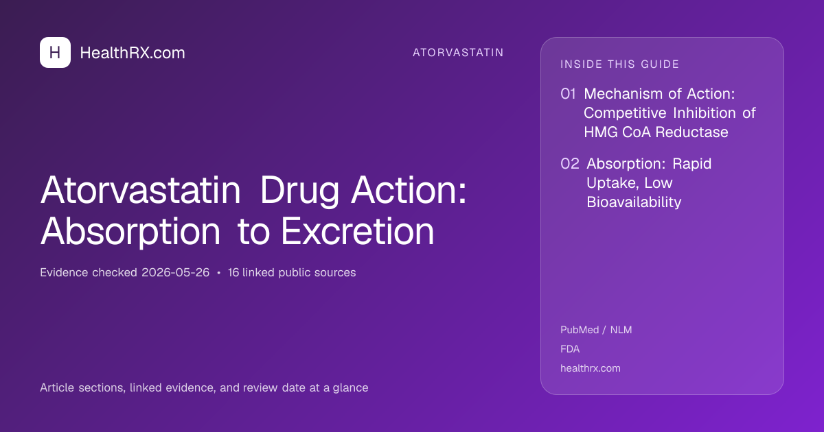Evidence overview for Atorvastatin Drug Action: Absorption to Excretion