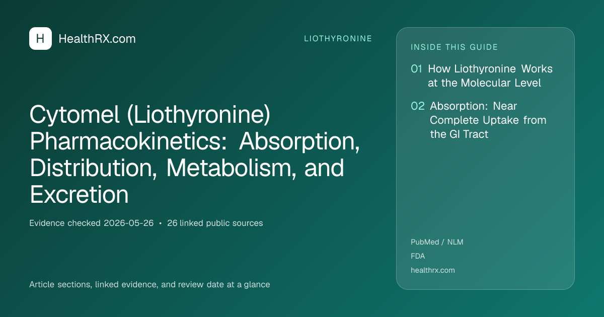 Evidence overview for Cytomel (Liothyronine) Pharmacokinetics: Absorption, Distribution, Metabolism, and Excretion