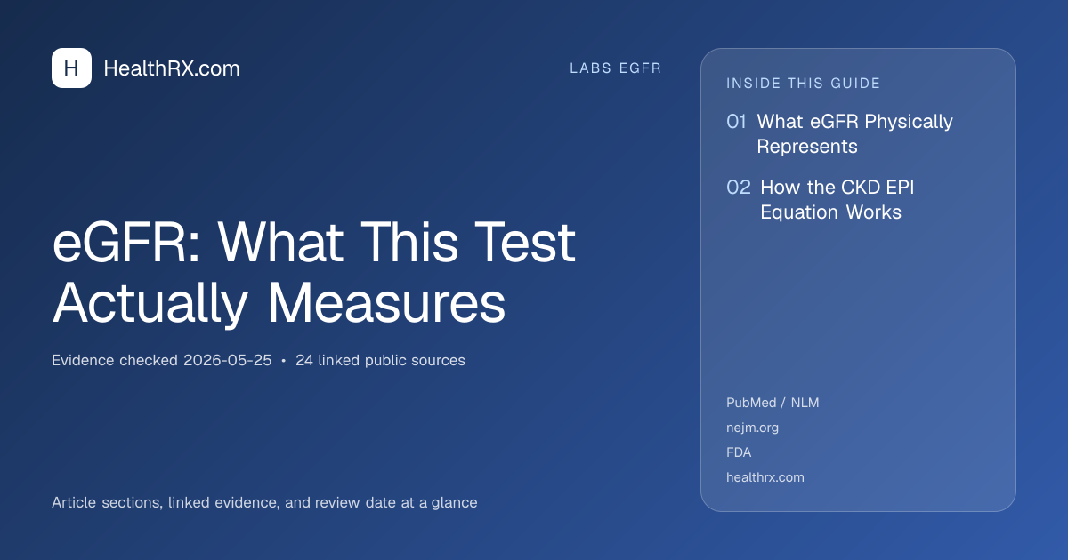 Evidence overview for eGFR: What This Test Actually Measures