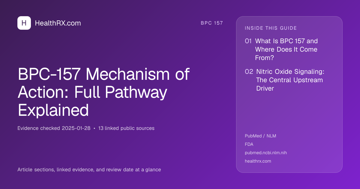 Evidence overview for BPC-157 Mechanism of Action: Full Pathway Explained