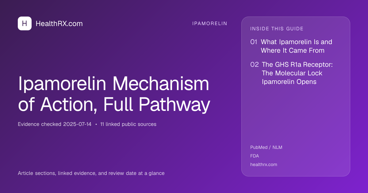Evidence overview for Ipamorelin Mechanism of Action, Full Pathway