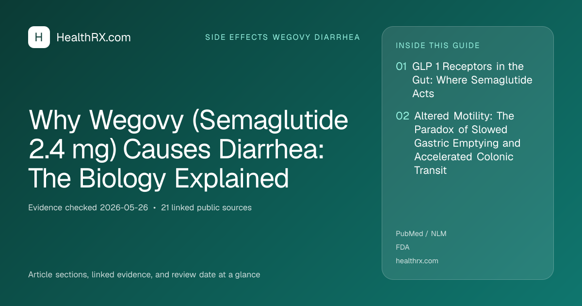 Evidence overview for Why Wegovy (Semaglutide 2.4 mg) Causes Diarrhea: The Biology Explained