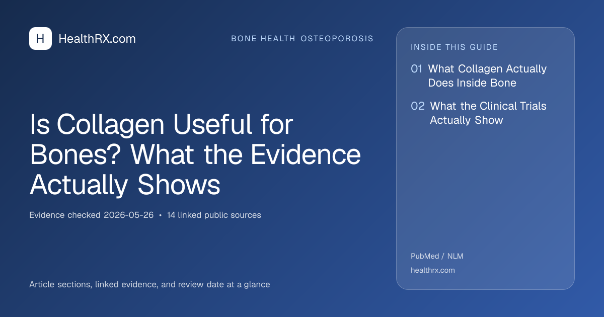 Evidence overview for Is Collagen Useful for Bones? What the Evidence Actually Shows