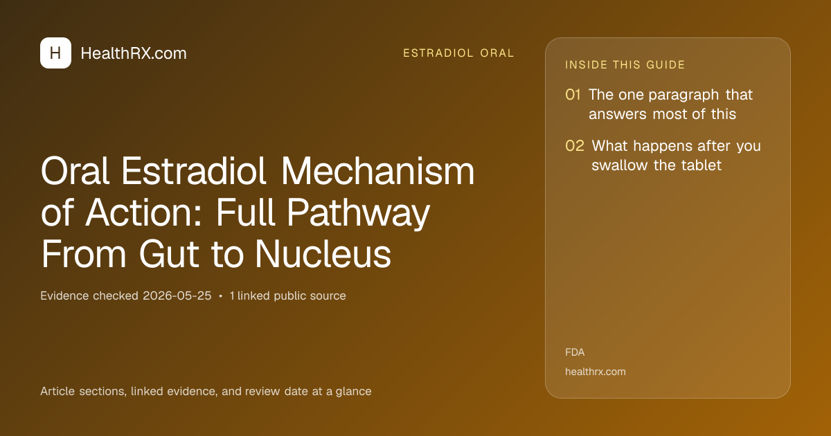 Evidence overview for Oral Estradiol Mechanism of Action: Full Pathway From Gut to Nucleus