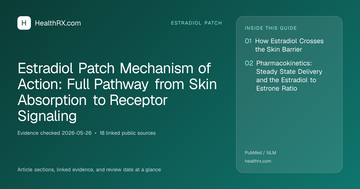 Evidence overview for Estradiol Patch Mechanism of Action: Full Pathway from Skin Absorption to Receptor Signaling