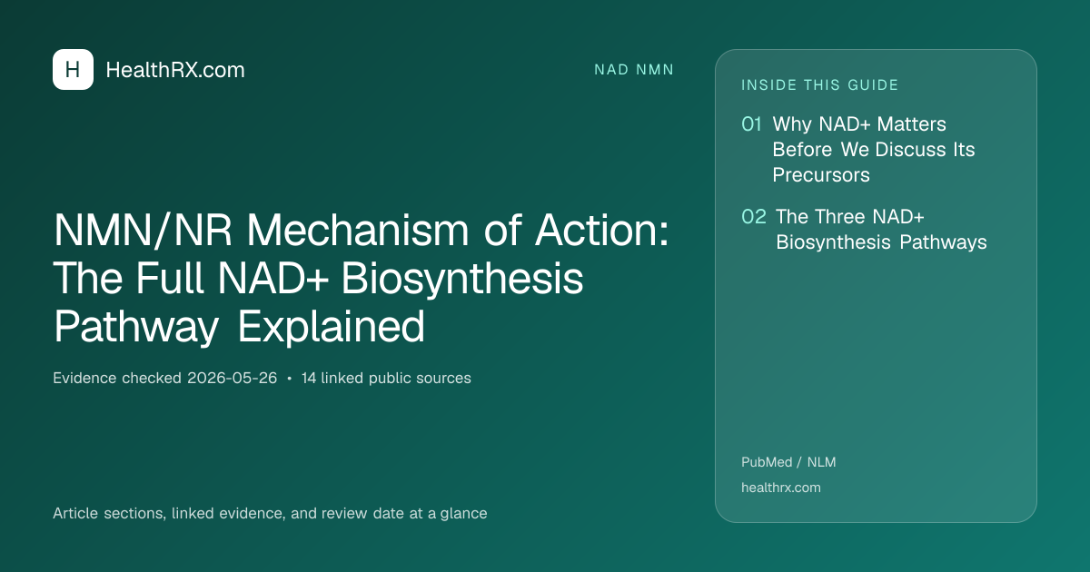 Evidence overview for NMN/NR Mechanism of Action: The Full NAD+ Biosynthesis Pathway Explained
