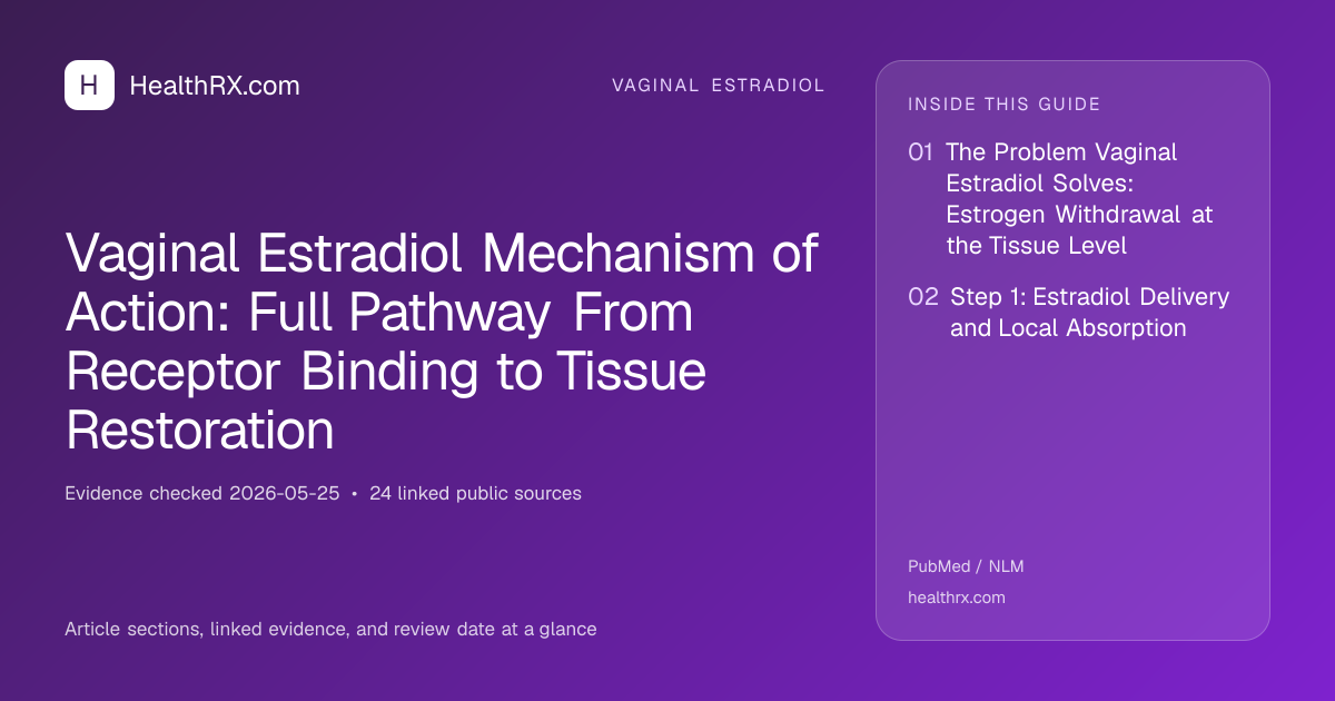 Evidence overview for Vaginal Estradiol Mechanism of Action: Full Pathway From Receptor Binding to Tissue Restoration